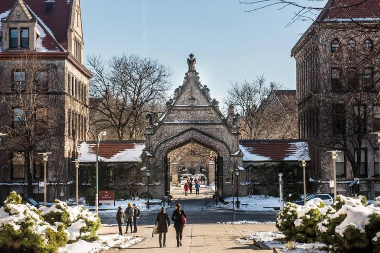 美国芝加哥大学(Chicago University A Premier Academic Institution in the United States)