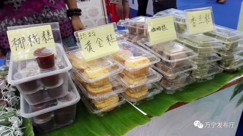 万宁兴隆美食攻略(万宁兴隆美食攻略：品味海南特色小吃)