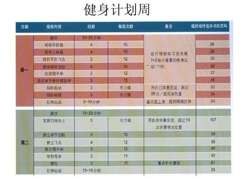 木模板规格(如何选择适合自己的健身计划？)