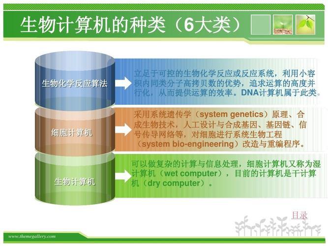 生物计算机是怎么计算的(探究生物计算机的计算原理：如何进行计算？)