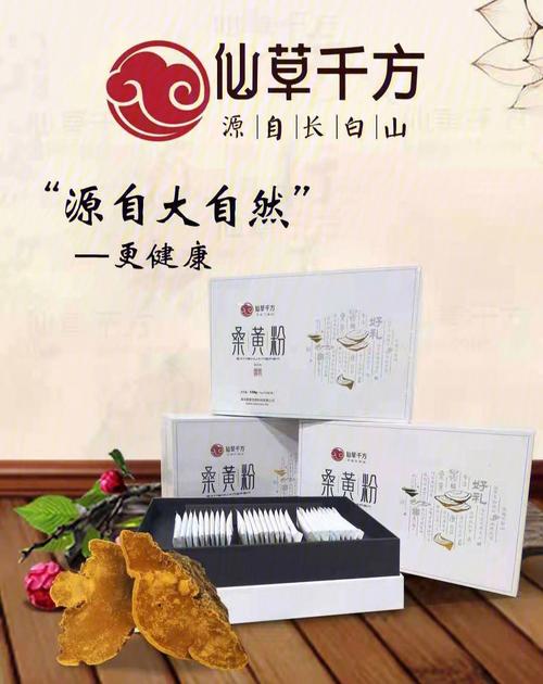 桑黄和灵芝如何食用(如何合理食用桑黄和灵芝)