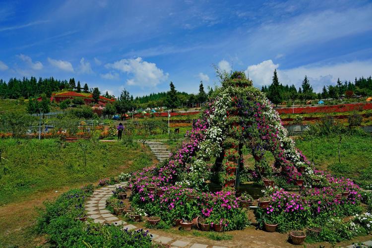 爱花都(爱花都：花园迷失在城市中的绿洲)