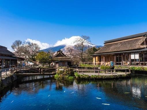 伊豆田园(伊豆田园远离城市喧嚣的栖息之地)