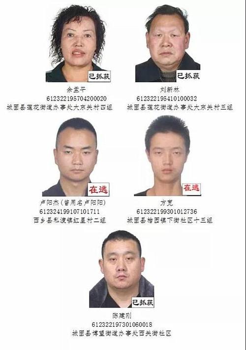 城固焚尸嫌犯落网(城固焚尸案嫌犯被捕，公安部门通报案情)