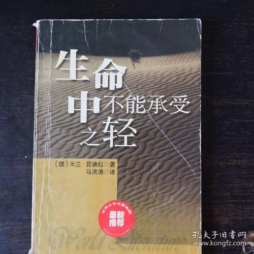 生命中不可承受之轻(如何承受生命中的沉重？)