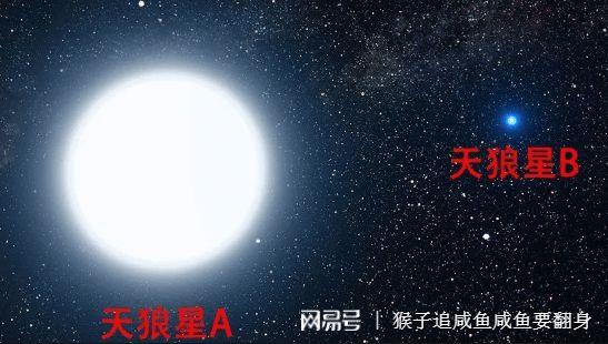 为什么甚星长着尾巴？(甚星为什么有尾巴？)